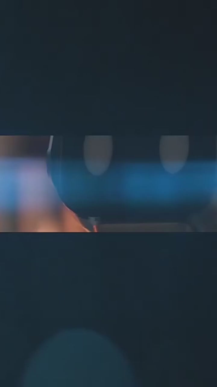 Electric Robo RC Dog with 8 Wheels Toy Stunts